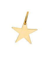 Star Charm